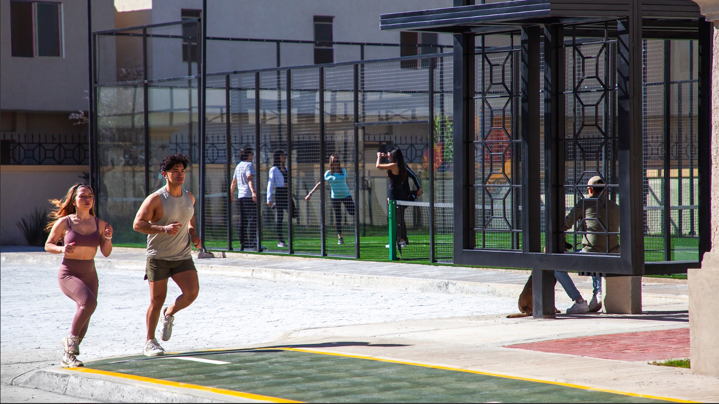Canchas deportivas